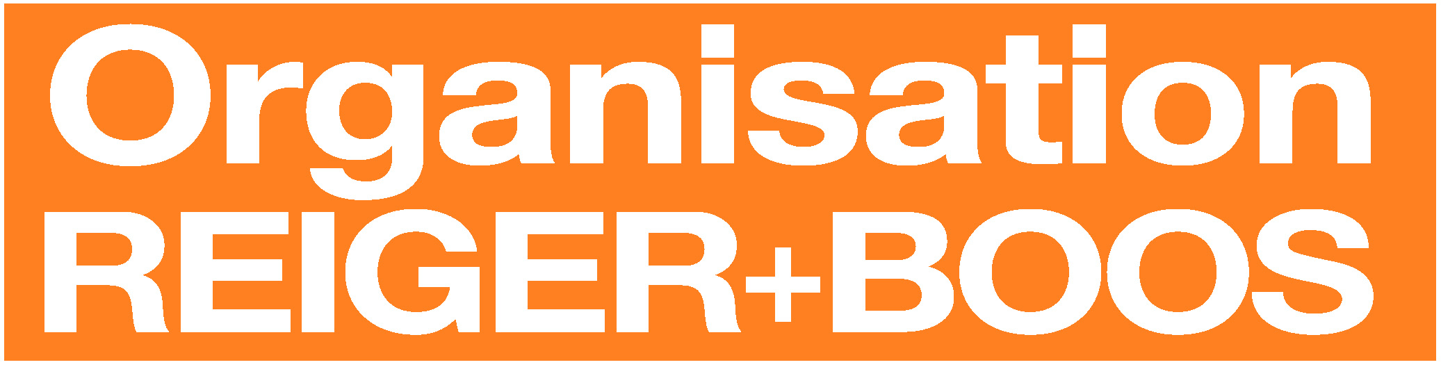 Organisation REIGER+BOOS Informationssysteme GmbH-Logo